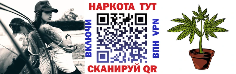Как найти закладки Фрязино Cocaine БУТИРАТ Каннабис АМФ ГАШИШ Alpha-PVP ссылка на мегу ссылка Псилоцибиновые грибы