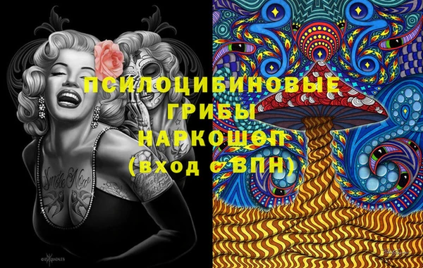 мдпв Армянск