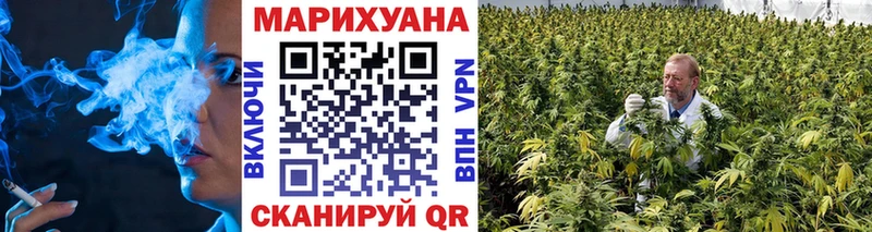 hydra ТОР  Фрязино  Бошки марихуана сатива 